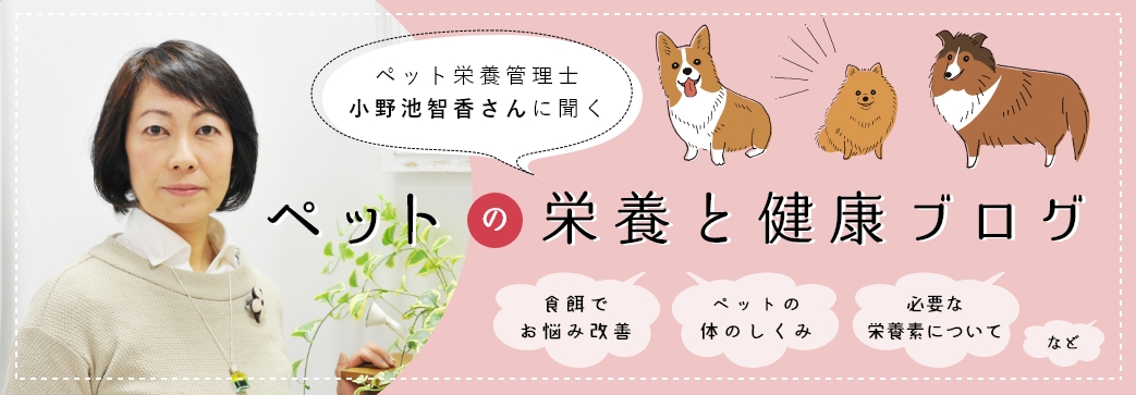 ペット栄養管理士 小野池智香さんに聞く ペットの栄養と健康Blog